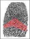 dmit fingerprint